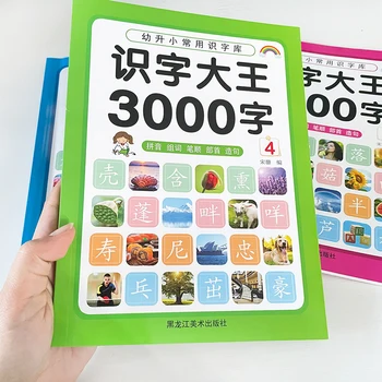 4 Knjige 3000 Kitajski Osnove Znak Besede Pictograph Predšolskih Kitajski z Pinyin Otroka, Učenje Pismenosti Knjiga