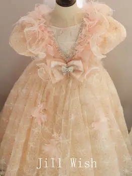 Jill Želijo Luksuzni Pink Girl Obleke Perja Sequined Lok Princesa Ples Srčkan Obleke za Otroke, Poroka, Rojstni dan Praznik J066