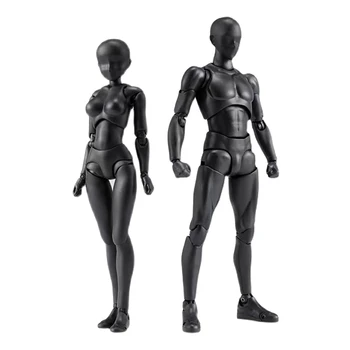 Figuric PVC Model Z Box Risba, Slika Modeli Za Umetnike(Ženska+Moški)